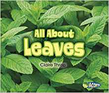 All About Leaves (All About Plants)