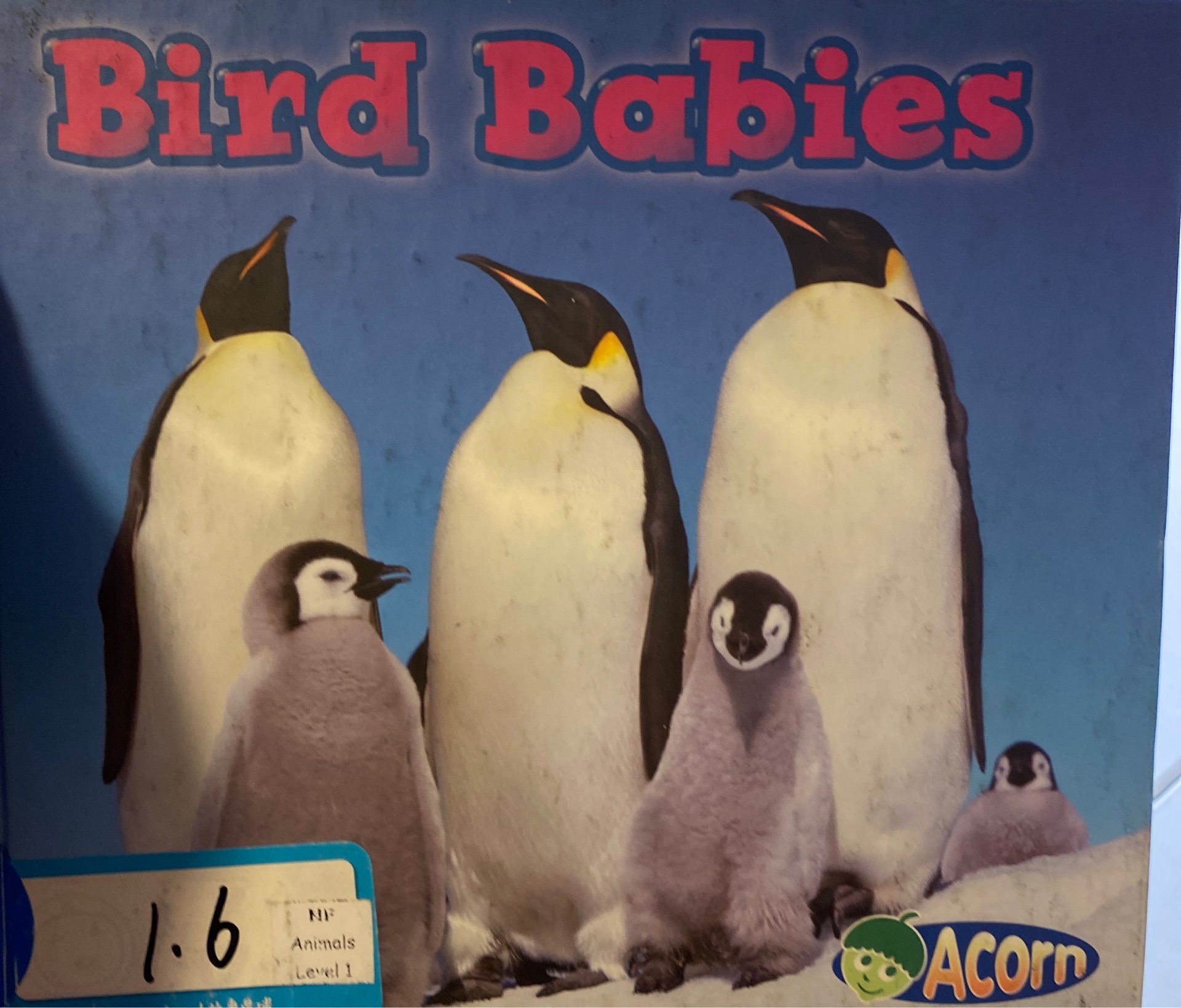Bits babies