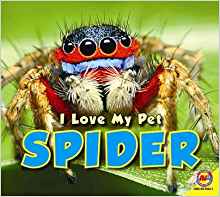 Spider (I Love My Pet)