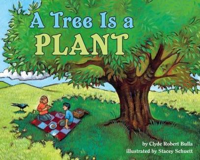 Let's-Read-and-Find-Out Science 1: A T