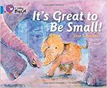 It’s Great to Be Small!(Collins Big Ca