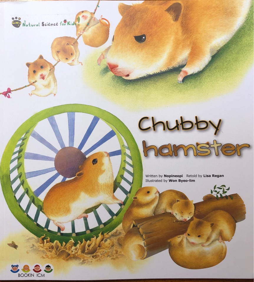 宾果儿童自然科学第二辑 Go wild：Chubby hamster