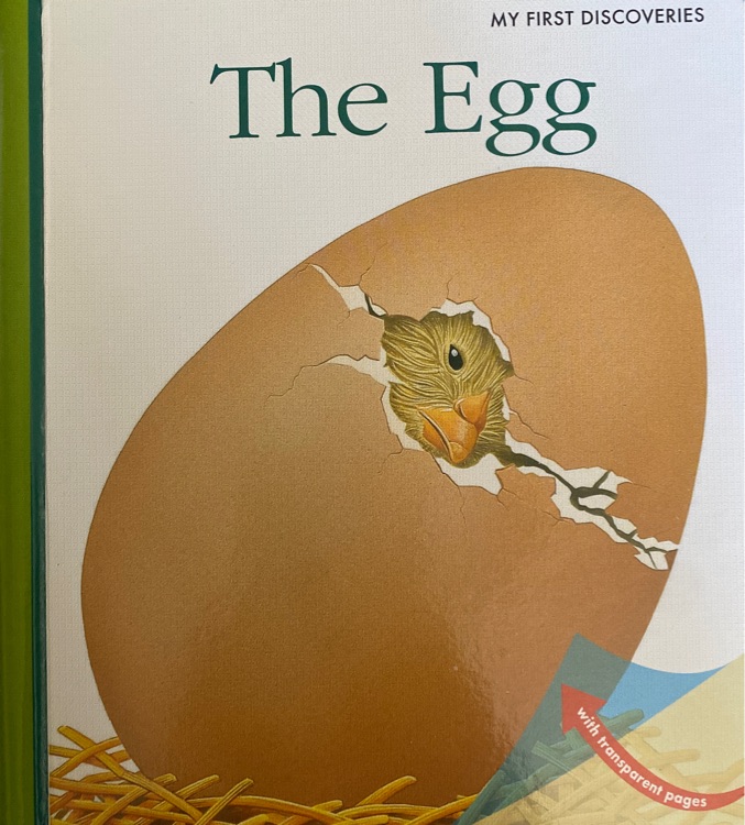 My First Discoveries点读版The Egg