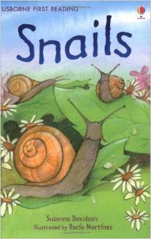 Usborne My Second Reading Library: Sna