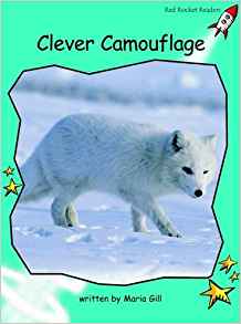 Clever Camouflage, Level 2: Fluency