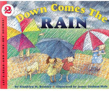 Down Comes the RAIN