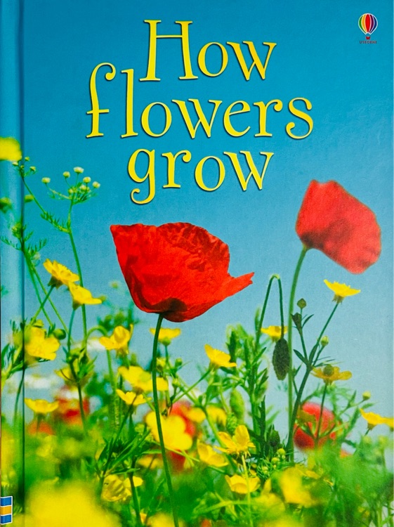 How flowers Grow