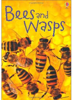 Bees &d Wasps