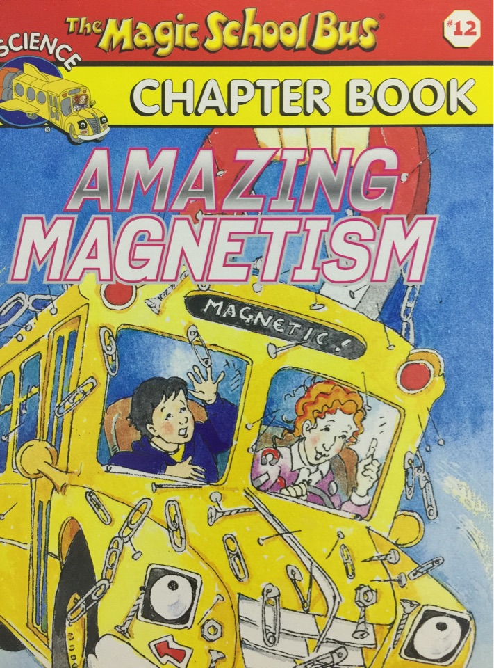 amazing magnetism