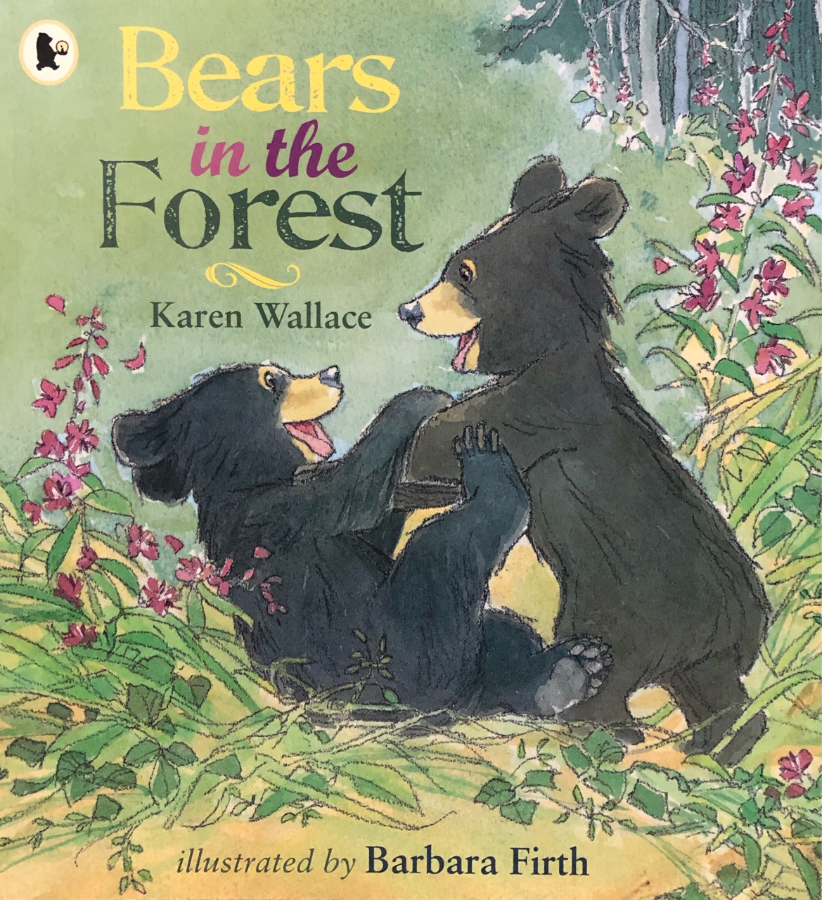 Bears in the Forest (Read & Wonder)