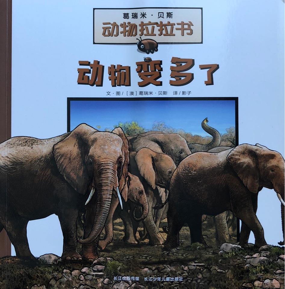 动物变多了