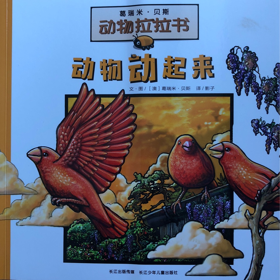 动物动起来