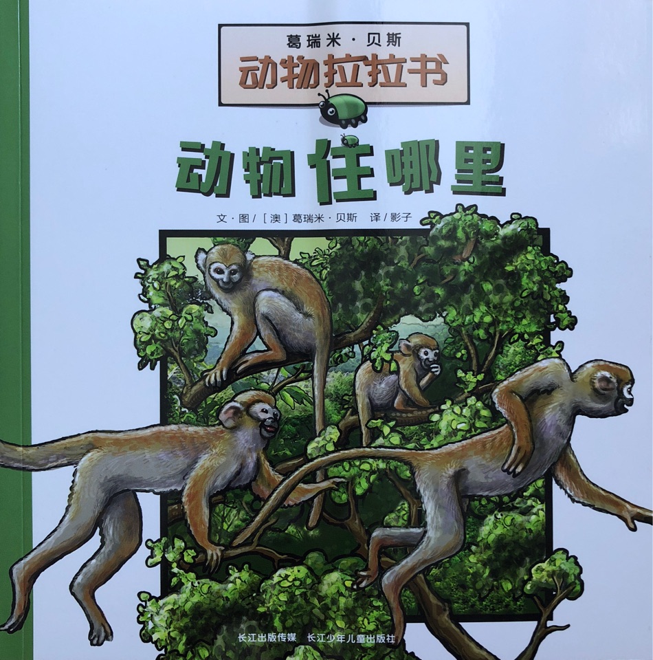 动物住哪里