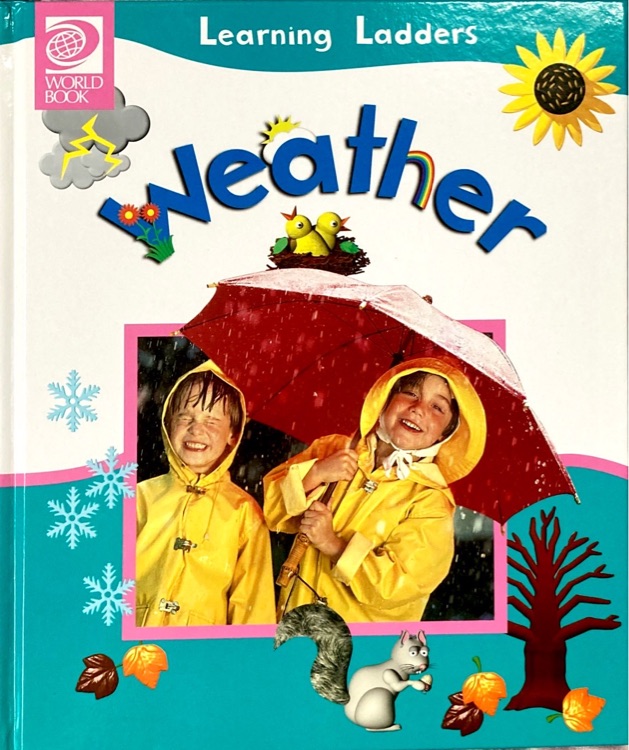 Learning Ladders I: Weather