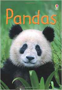 Pandas (Beginners)