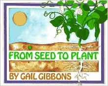 From Seed to Plant