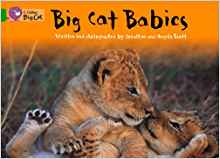 Big Cat Babies (Collins Big Cat)
