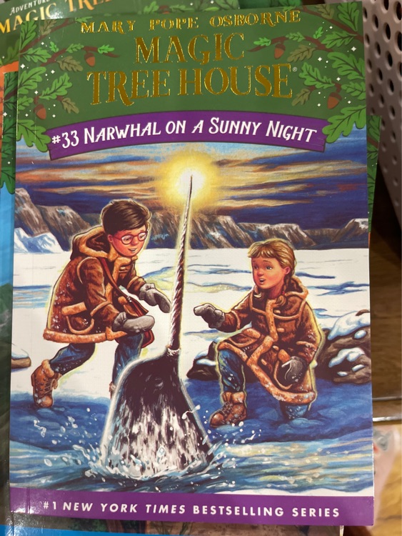 英文原版 The Magic Tree House 神奇树屋 33 Narw