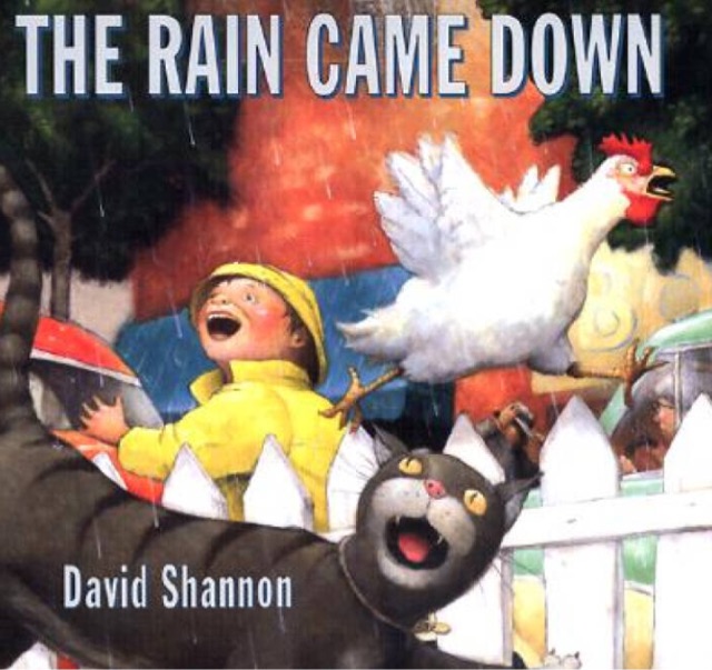 The Rain Came Down