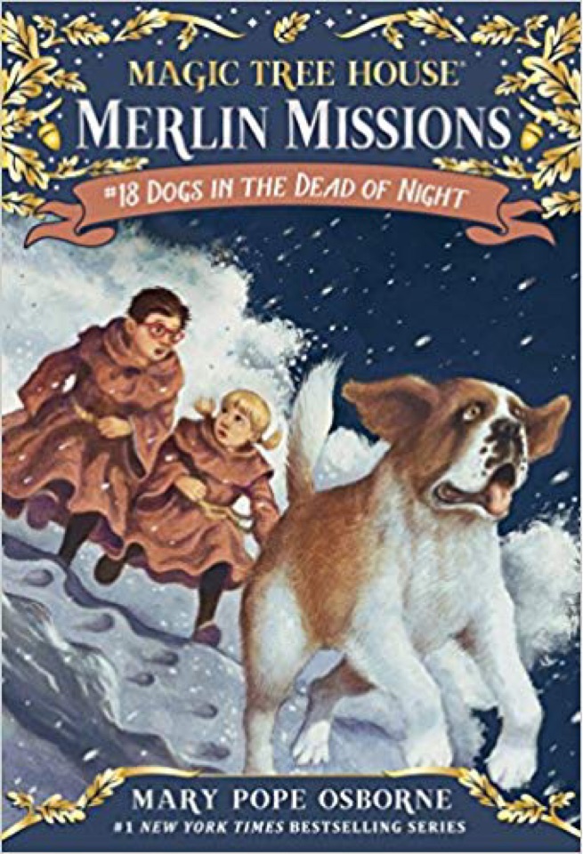 Magic tree house Merlin Missions #18 D