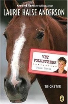 Vet Volunteers #03: Trickster