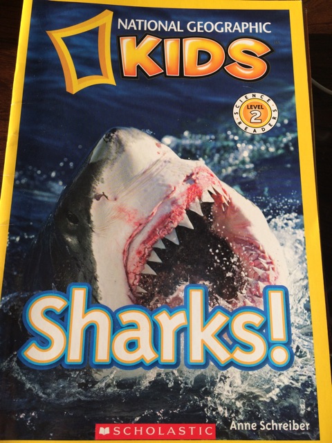 Sharks!