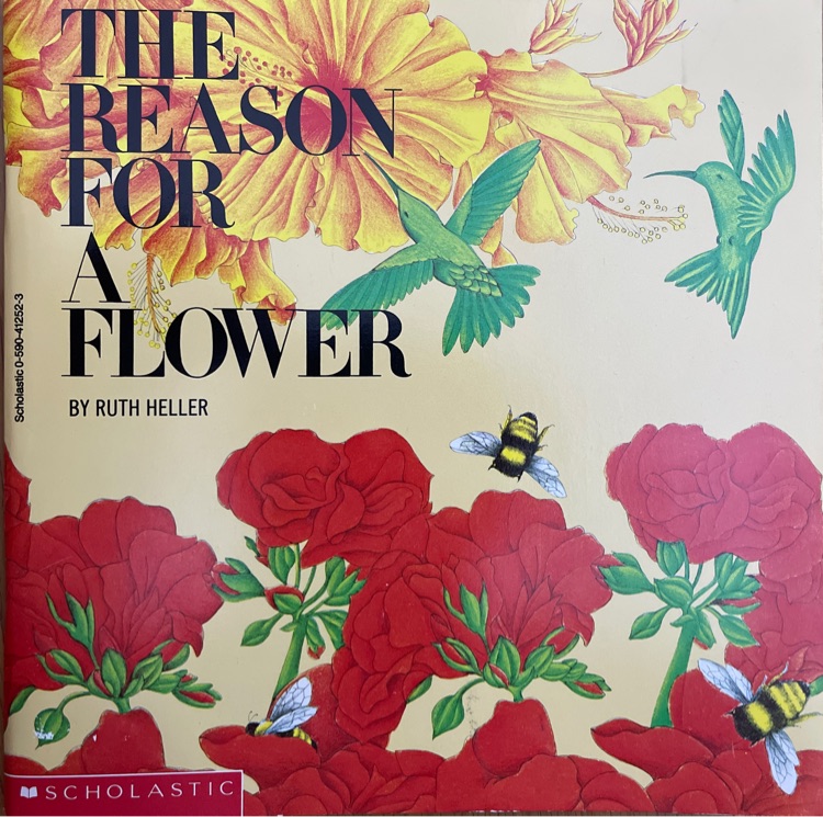 The Reason for a Flower