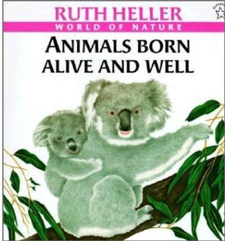 Animals Born Alive and Well (Picture B