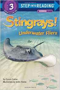 Stingrays! Underwater Fliers (Step int