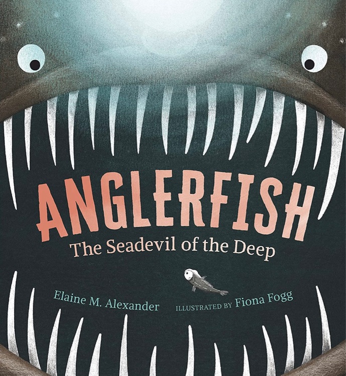 Anglerfish The Seadevil of the Deep