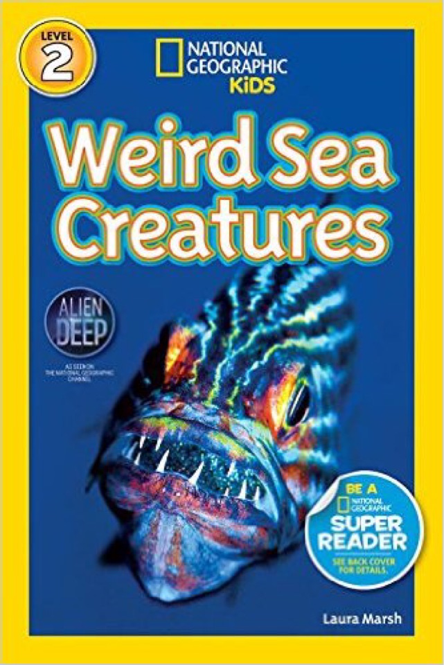 weird sea creatures national geographi