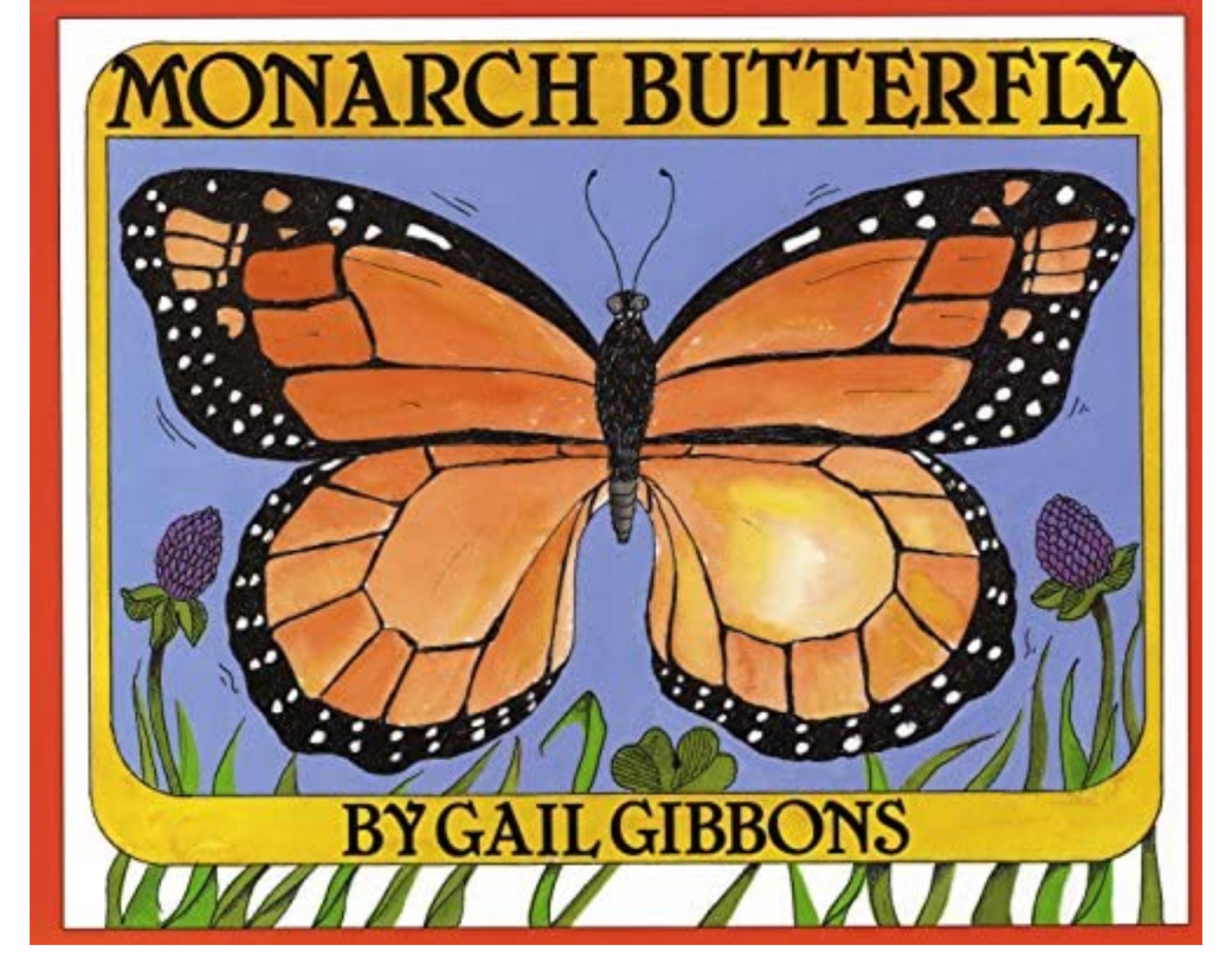 Monarch Butterfly