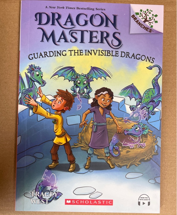 Drahon Master - Guarding the invisible