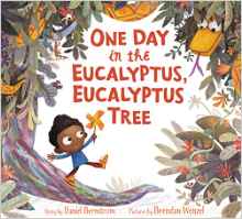 One Day in the Eucalyptus, Eucalyptus 