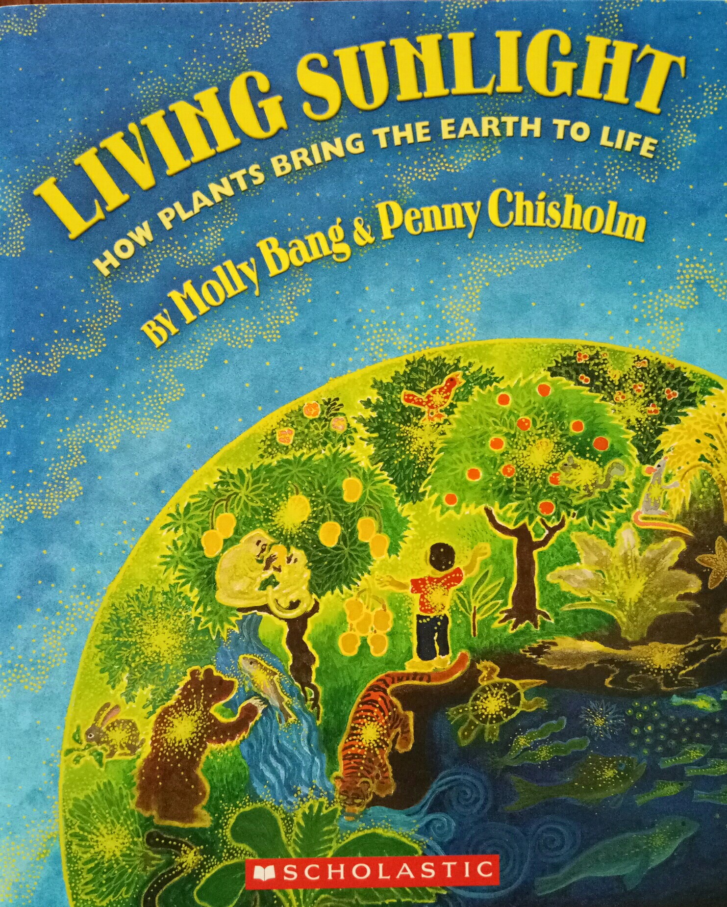 Living Sunlight: How Plants Bring the 