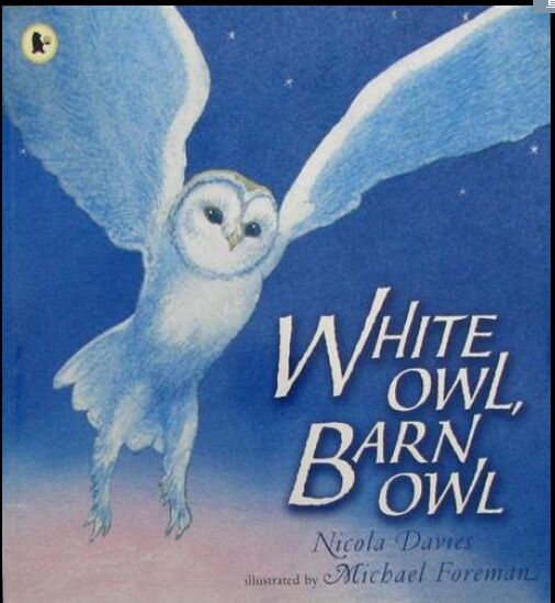 WHITE OWL.BARN OWL