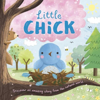 Nature Stories: Little Chick: Padded B