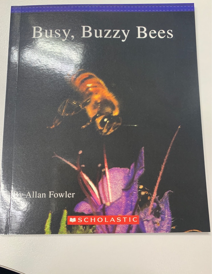 Busy, buzzy bees