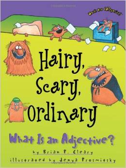 Hairy, Scary, Ordinary: What Is an Adj