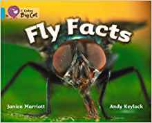 Fly Facts (Collins Big Cat)
