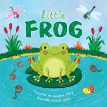 Nature Stories: Little Frog : Padded B