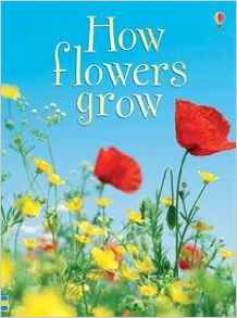 How Flowers Grow (Beginners Nature)