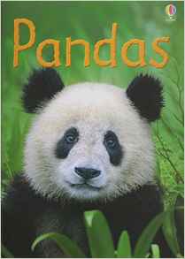 Pandas IR