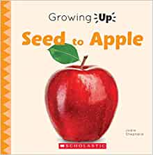 Seed to Apple (Growing Up) (Paperback)