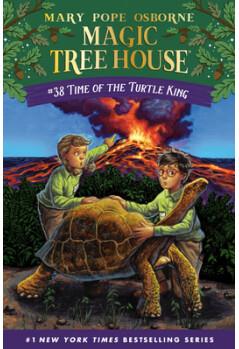 Time of the Turtle King