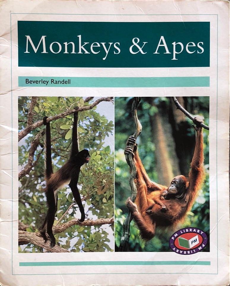 Monkeys & Apes PM Non Fiction Animal F