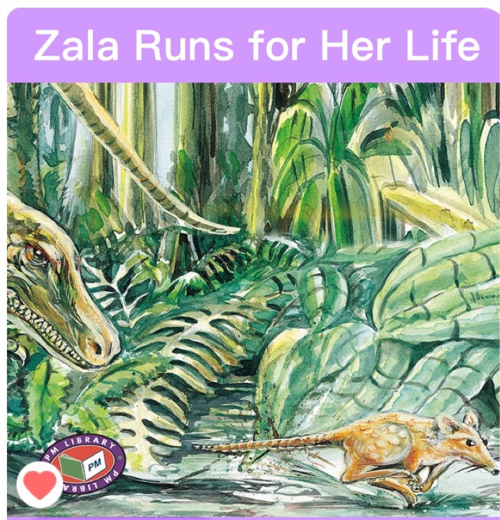 Zala Runs for Her Life PM Purple Set A