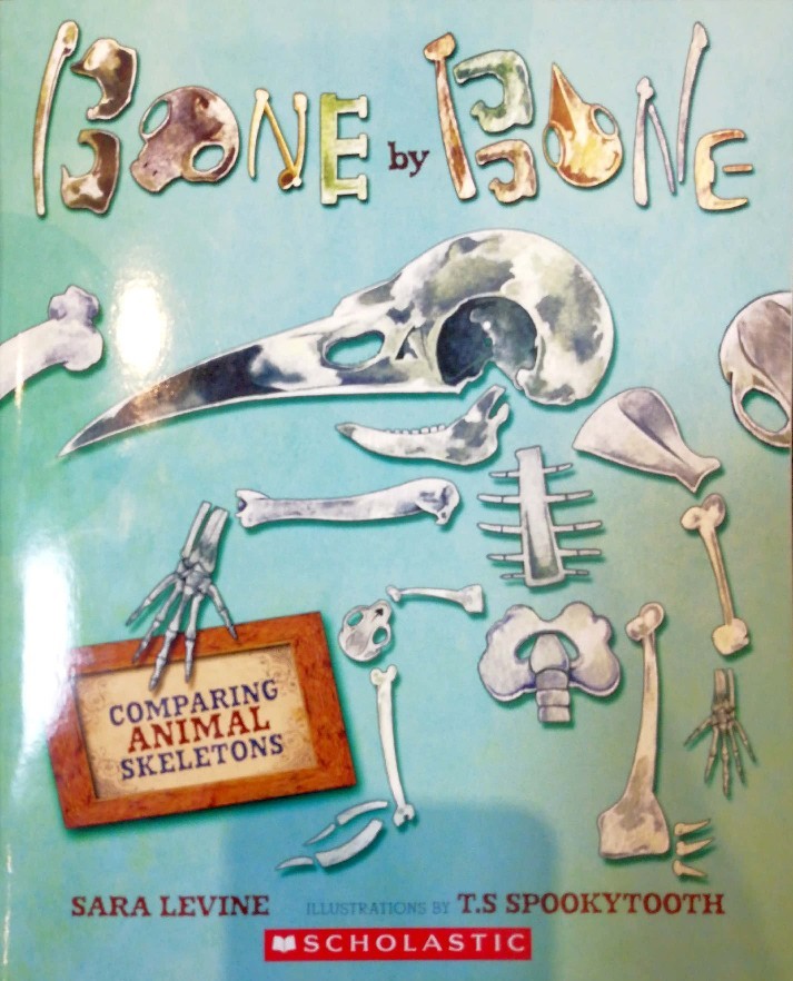 Bone by Bone