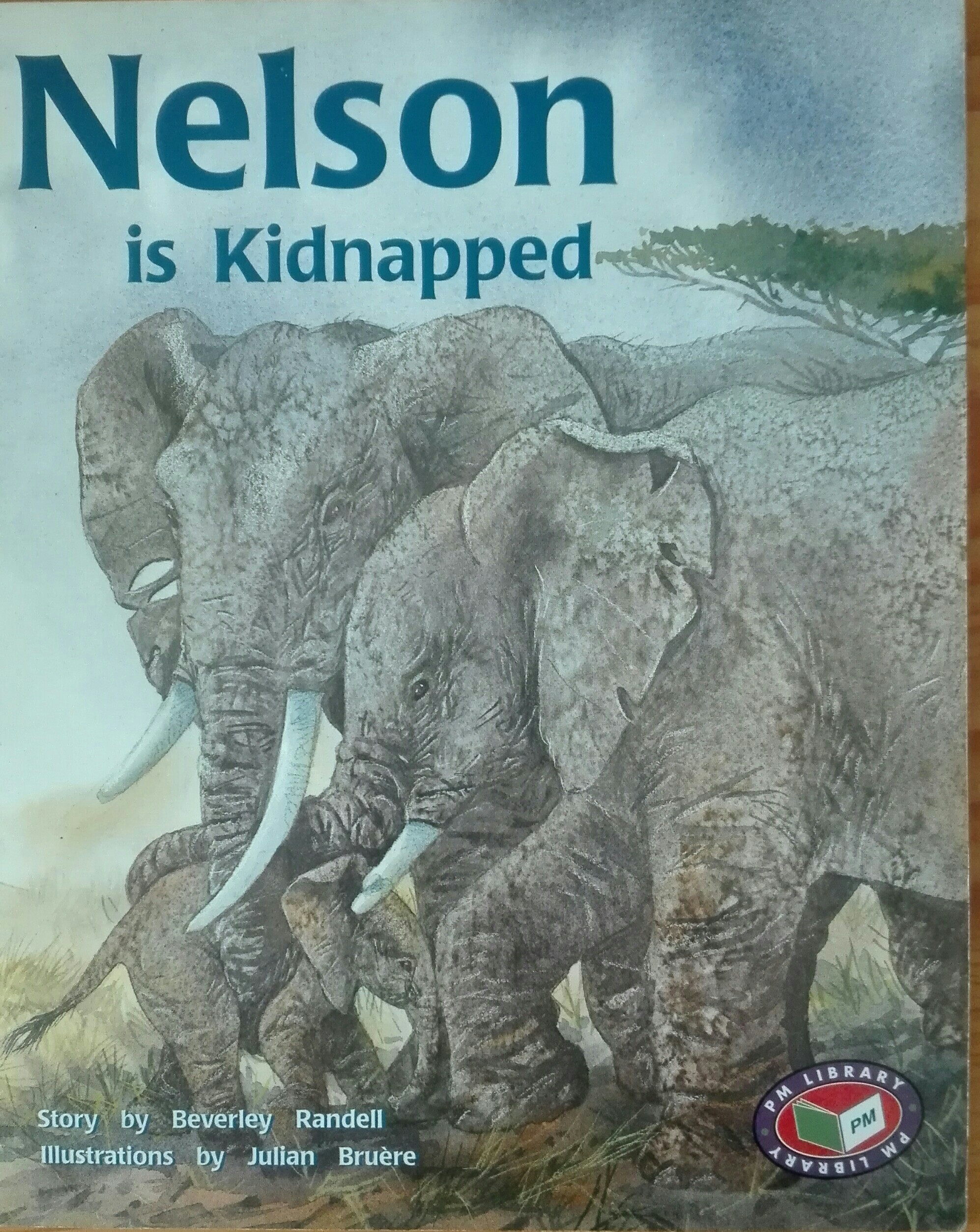 Nelson is Kidnapped PM Level 23 Set A 