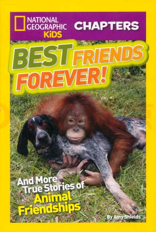 Best Friends Forever!